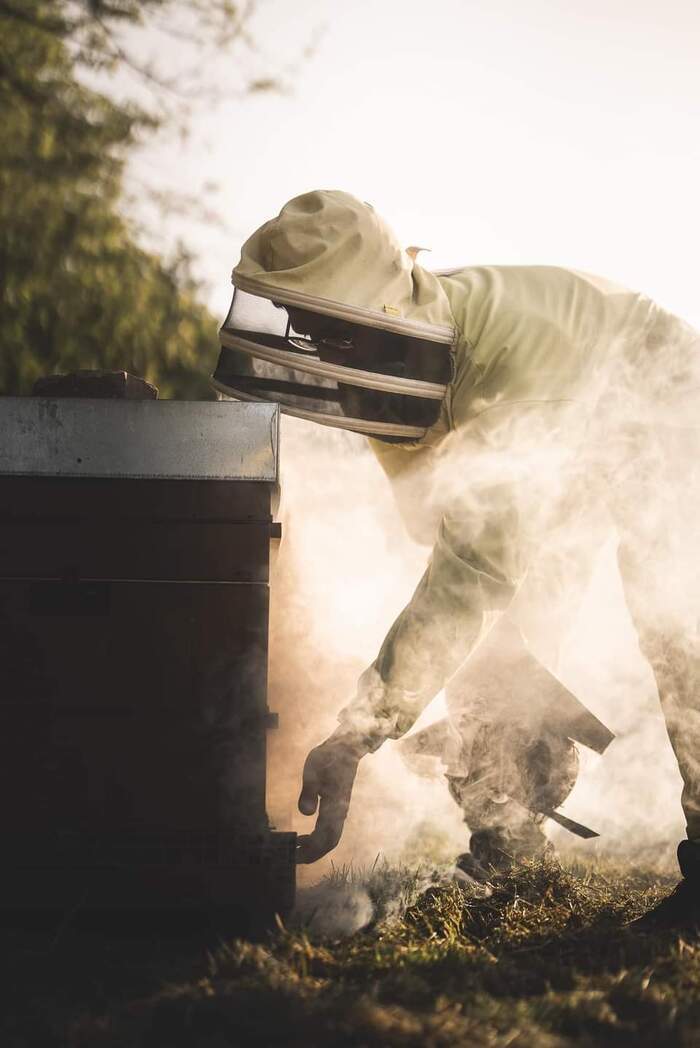 Découverte de l&rsquo;univers des abeilles et de l&rsquo;apiculture, Cobee Les Butineuses de la Salmonais, Cordemais