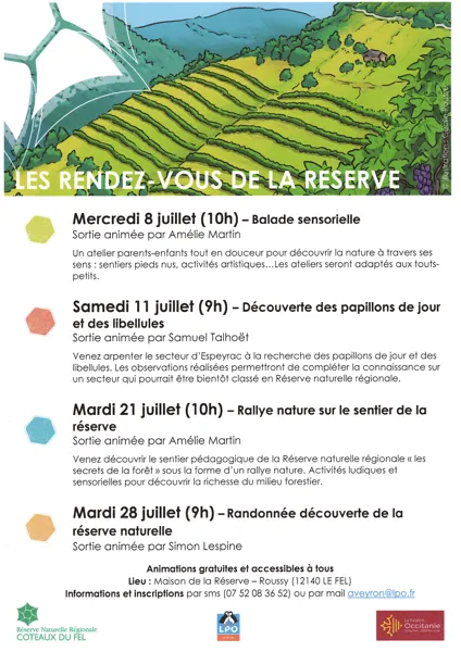 Découverte des papillons de jour et des libellules Espeyrac