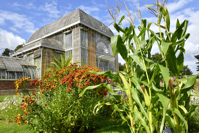 Découverte du Jardin des Plantes Jardin des Plantes Nantes
