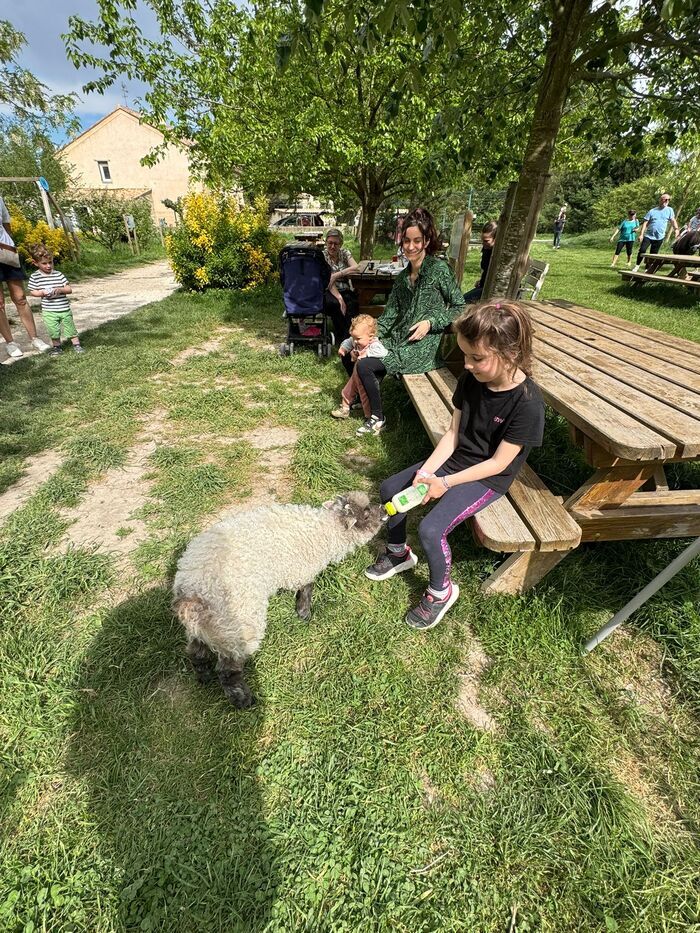 Découverte du mas de la Gallinière : visite de la ferme et atelier fabrication du beurre., Mas de la Gallinière, Roquemaure