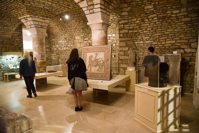 Découverte du Musée d’Art et d’Histoire Musée d'art et d'histoire Chaumont