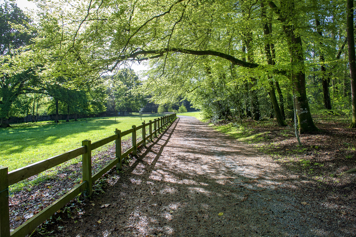 Découverte du Parc de la Chantrerie Parc de la Chantrerie Nantes