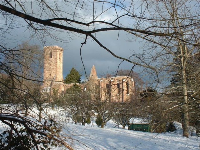 Découverte d'une abbaye Abbaye de Truttenhausen Heiligenstein