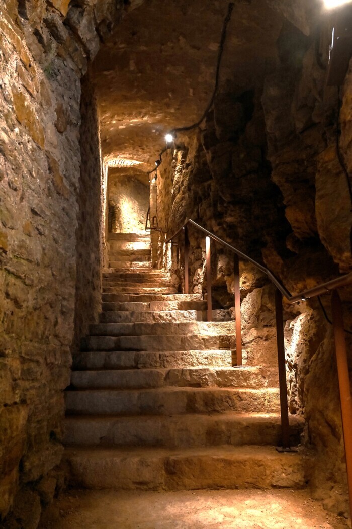Découverte guidée d&rsquo;une forteresse médiévale, Forteresse, Châtel-sur-Moselle