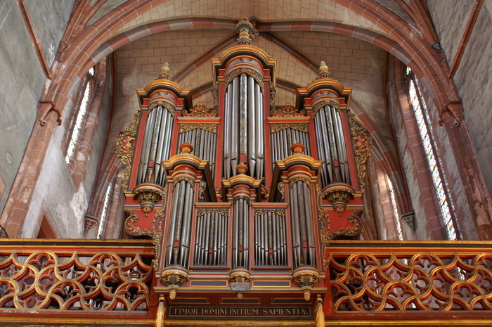 Découverte guidée « Les orgues de Saint-Pierre-le-Jeune », Église protestante Saint-Pierre-le-Jeune, Strasbourg