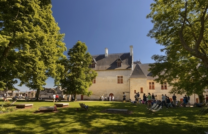 Découverte historique de la forteresse, Forteresse royale de Chinon, Chinon