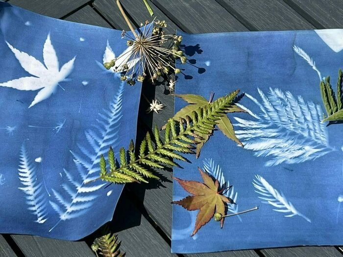 Découvrez la technique du cyanotype, Biosphéra, Cendras
