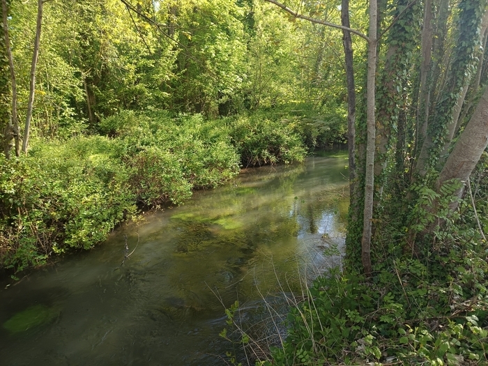 Découvrez le parc de la Rochefoucauld, Espace Naturel Sensible, Parc de la Rochefoucauld, Estissac