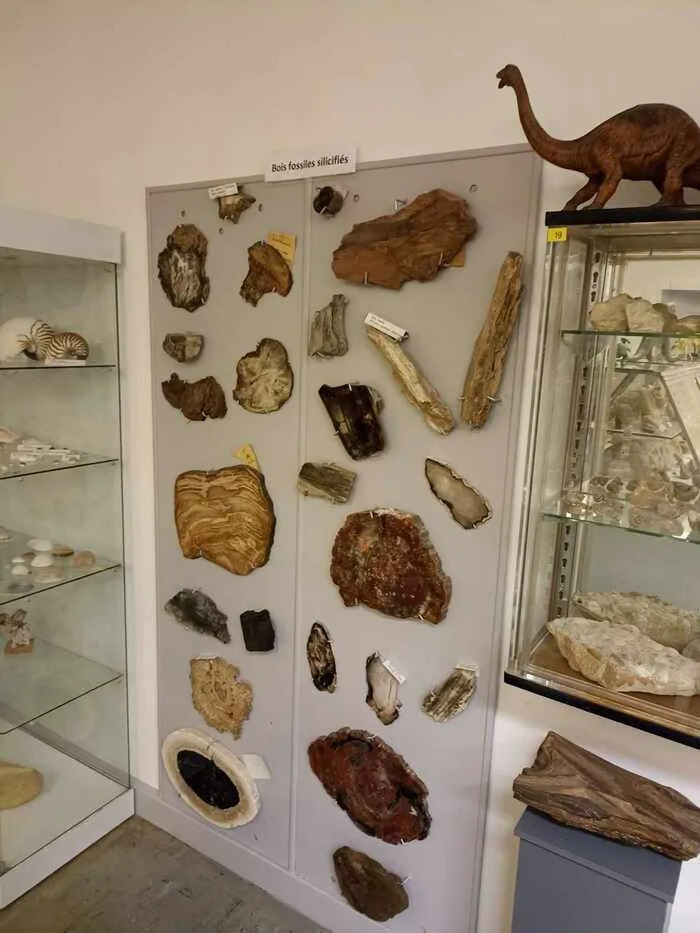 Découvrez les secrets géologiques de notre Terre, Musée Géolor, Thionville