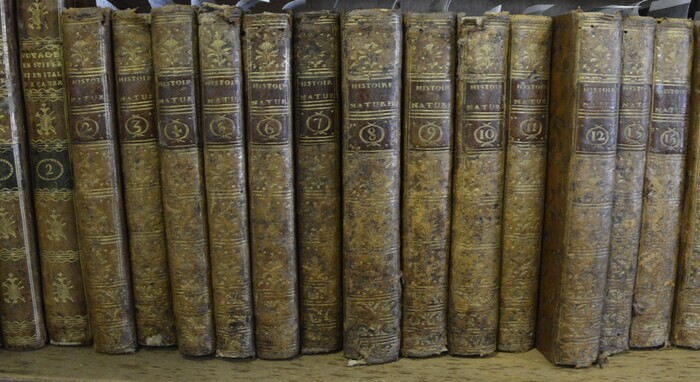 Découvrir une bibliothèque patrimoniale, Château de l’Échelle, La Roche-sur-Foron