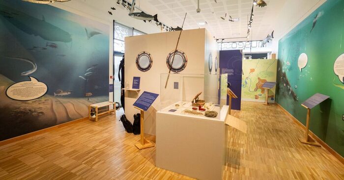 Démonstration : le labo des scientifiques, MuséoSeine, le musée de la Seine normande, Rives-en-Seine