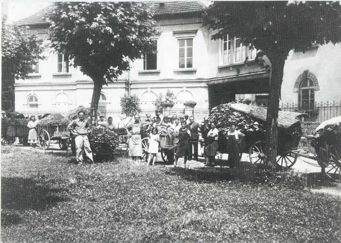 Devenez acteur du patrimoine sélestadien, Bibliothèque Humaniste, Sélestat