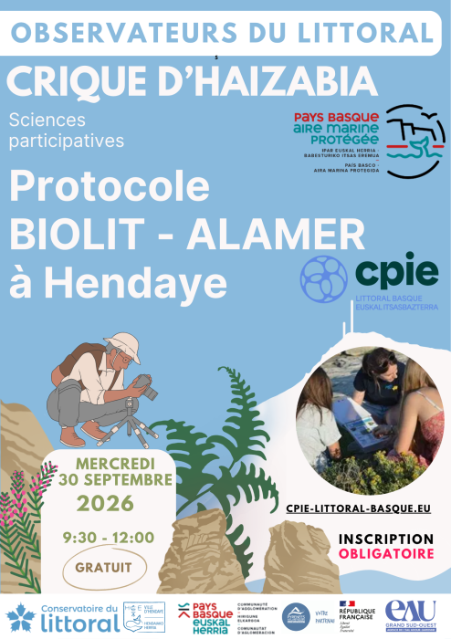 Devenez observateur du littoral basque et découvrez la richesse de la biodiversité Hendaye