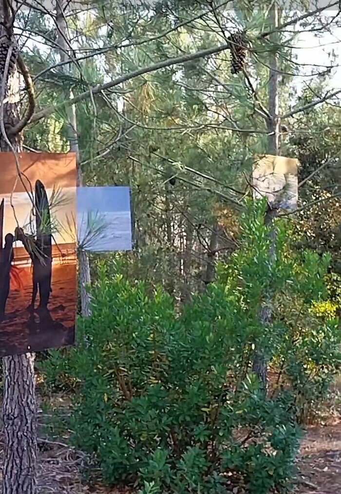 Dévernissage de l&rsquo;exposition « Instants du Littoral », Accès plage la Forestière, Lacanau