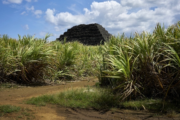 Dilo Dibout ? Ile Maurice – Mauritius, Institut français de Maurice, 30 avenue J. Nyerere