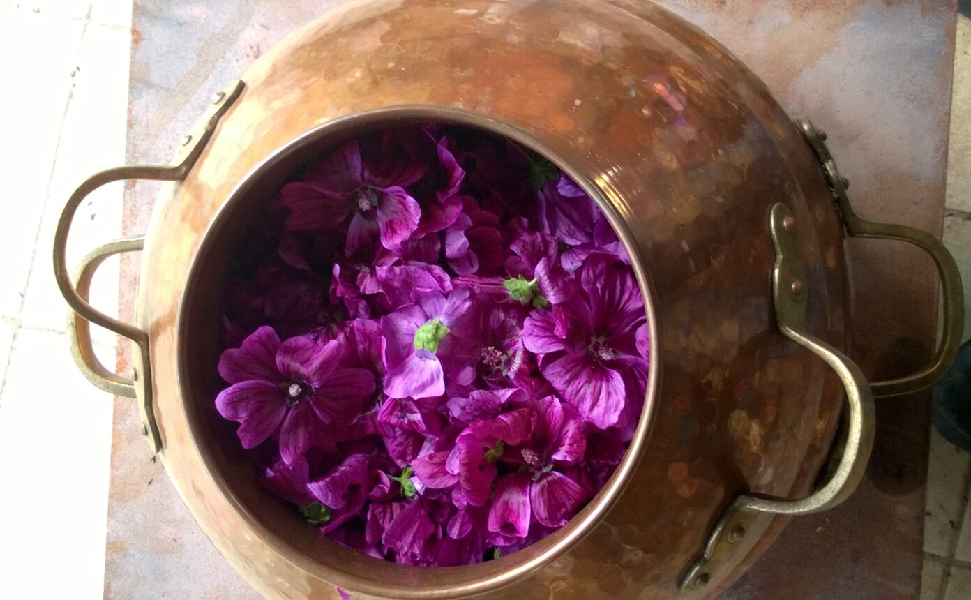 Distillation d’huiles essentielles bio Le Soin Jardiné Ornans