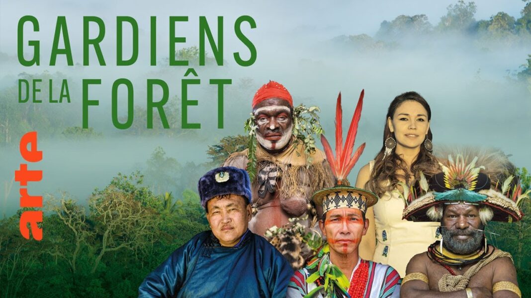 Docu Gardiens de la forêt Papouasie, le temps des solutions (2/5) Saint-Yrieix-la-Perche