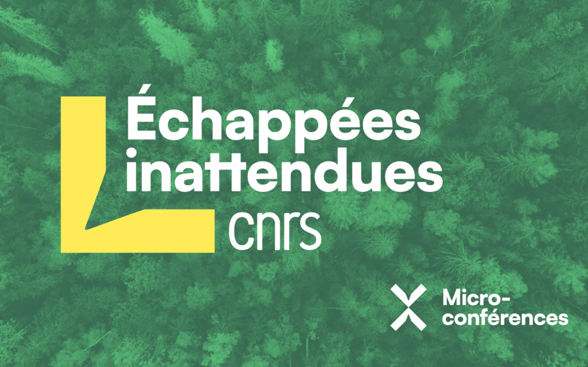 Echappées inattendues : la bioinspiration Médiathèque Marguerite Duras Paris