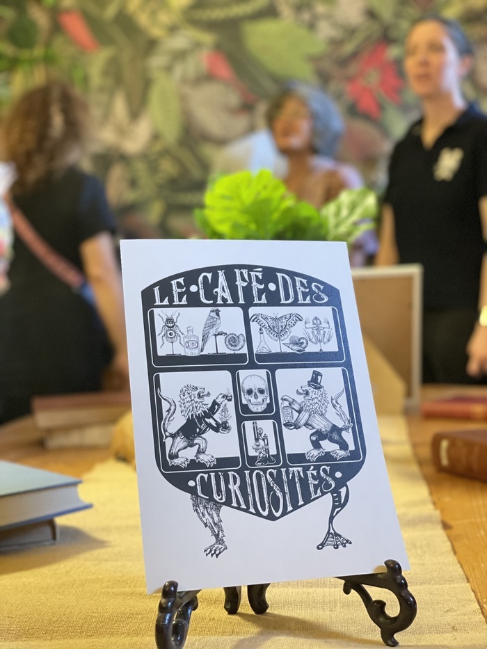 Escape game : le café des curiosités, Hôtel des sciences, Poitiers