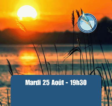 Estivales Mardis soir au bord de l’eau Châtres-sur-Cher Pruniers-en-Sologne