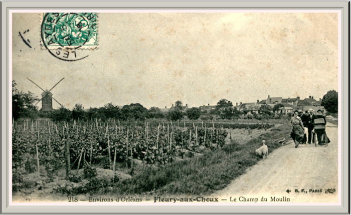 Et si Fleury m’était contée …, Bibliothèque des Jacobins, Fleury-les-Aubrais