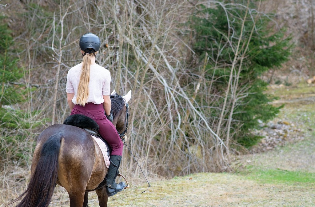 Été actif | Animation poney Beaumontois en Périgord