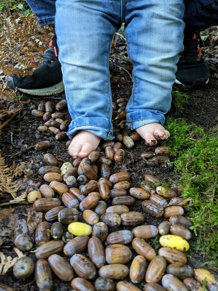 Eveil sensoriel à la nature pour les tout-petits, Saint-Médard-en-Jalles – Lieu de départ communiqué par l’association à l’inscription, Saint-Médard-en-Jalles