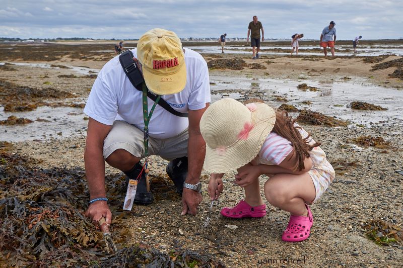 Expérience de Destination J’apprends à pêcher la palourde à la marque ! Parking des salines Bricqueville-sur-Mer près de la Cahute (paillotte) Bricqueville-sur-Mer