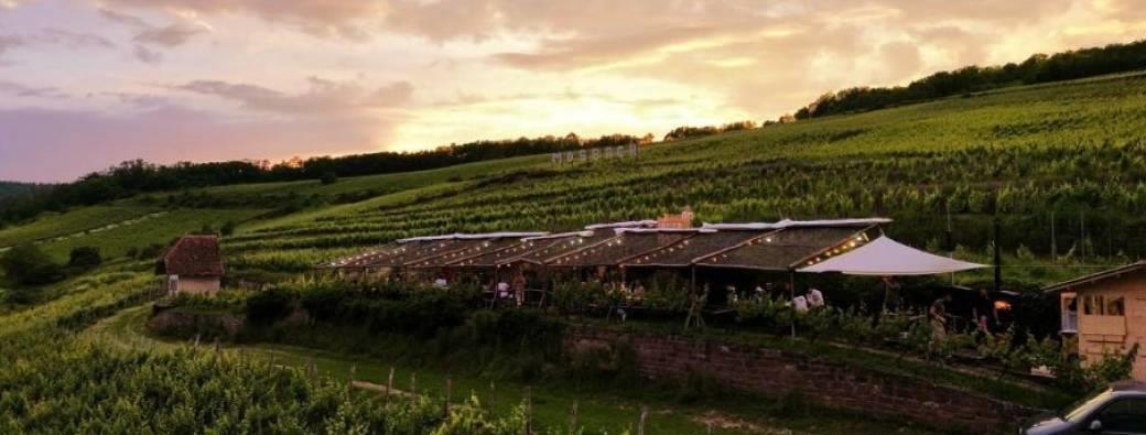 Expériences Mossig & Vignoble Cheval et Bistrot Champêtre Cosswiller