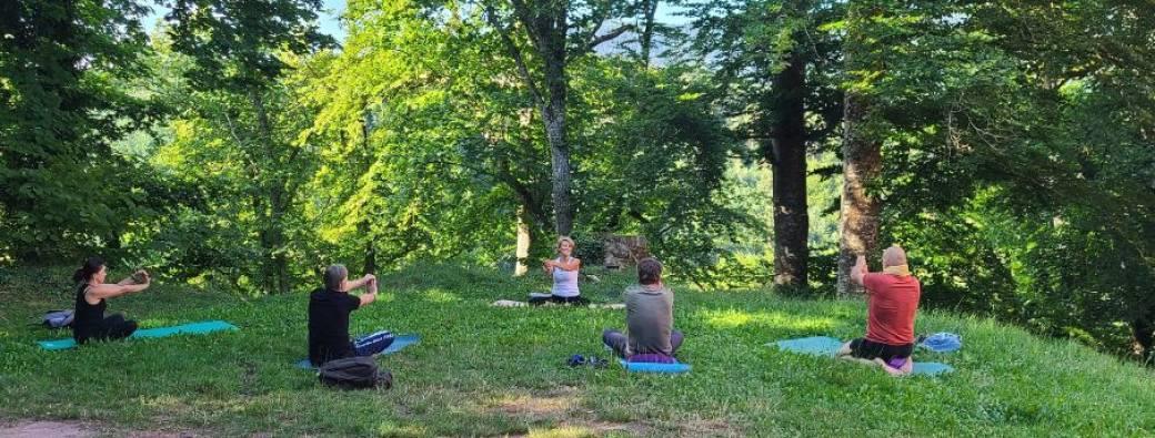 Expériences Mossig & Vignoble Yoga doux  Wangenbourg-Engenthal
