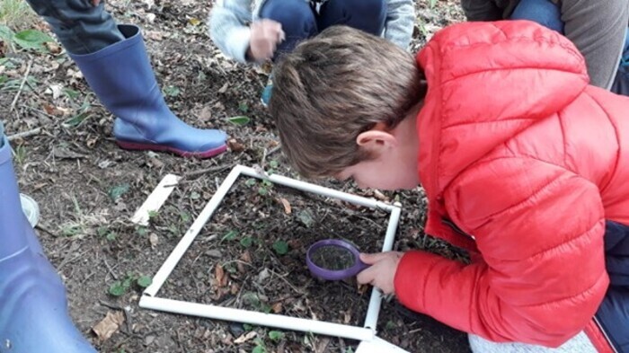 Explorateurs et exploratrices de la biodiversité – Avec les petits débrouillards, Plages de Baud, Rennes