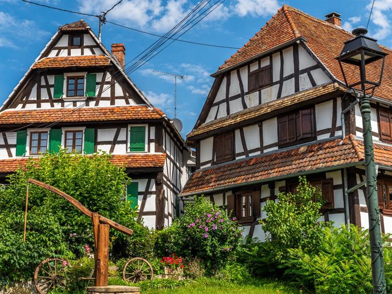 Exposition À la découverte de l’Alsace Verte Niederbronn-les-Bains