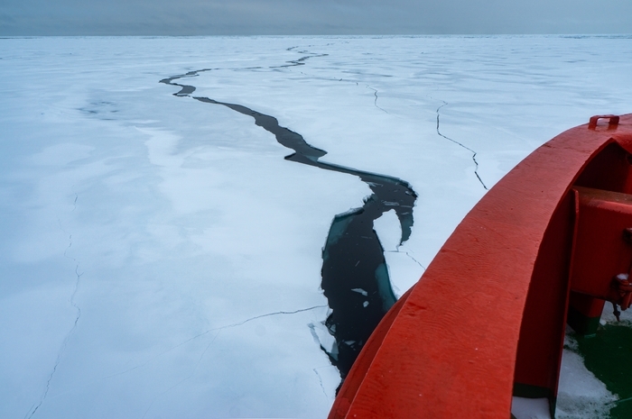 Exposition collective – Arctique les routes du Grand Nord, Médiathèque Charles Nègre, Grasse