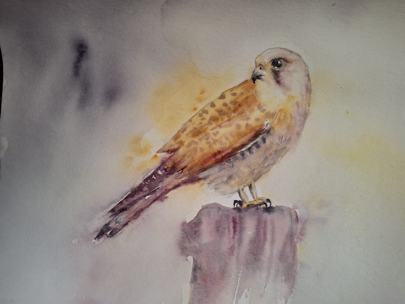 Exposition d’aquarelles de Marie Thérèse Lasserre Beaulieu-sur-Dordogne