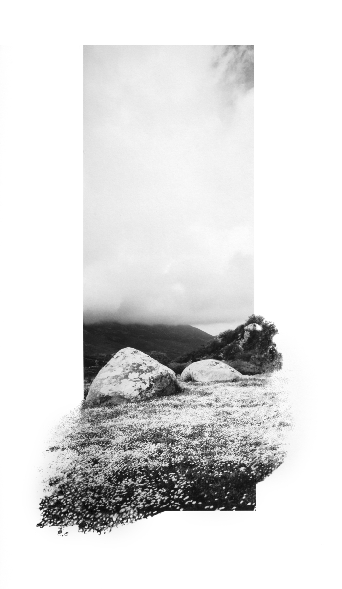 Exposition de Dana Cojbuc – GALERIE PUTMAN, GALERIE PUTMAN, Paris