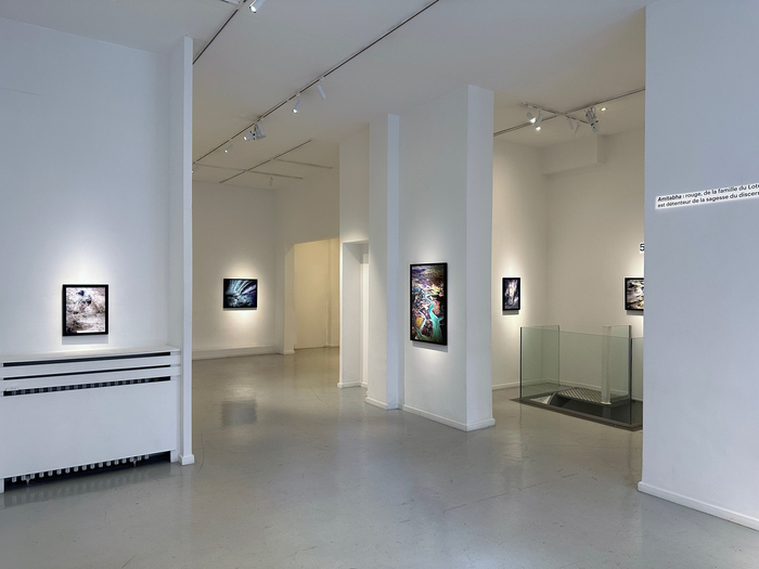 Exposition de Matthieu Ricard, Vol commercial – Galerie Françoise Livinec, Galerie Françoise Livinec, Paris