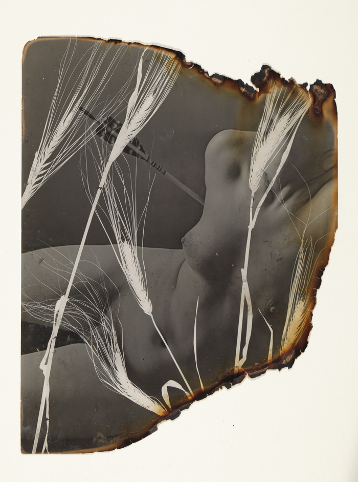 Exposition de Pierre Jahan