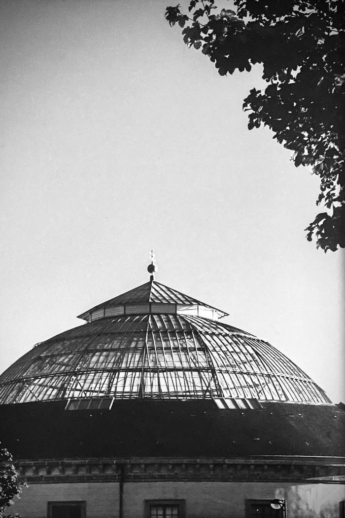 Exposition de Willy Lespa, Hôtel de l’orangerie, Alençon