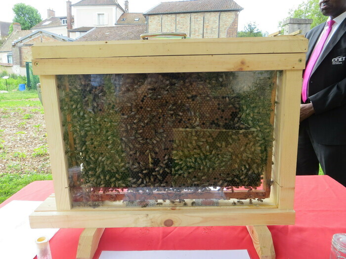 Exposition découverte de l&rsquo;apiculture, Château de la Celle Saint-Cloud, La Celle-Saint-Cloud
