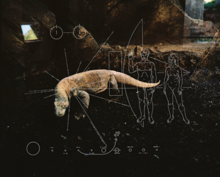 Exposition d’Éléa-Jeanne Schmitter, lauréate de la Résidence Incertitude 2026, Le Château d’Eau, Toulouse