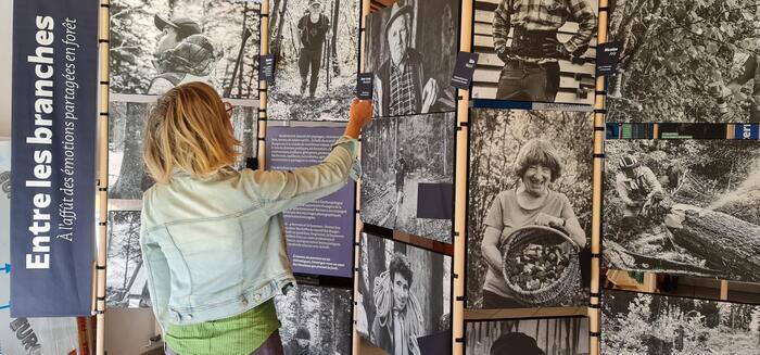 Exposition « Entre les branches, à l’affût des émotions partagées en forêt  », Musée de la Vigne et du Vin de Savoie, Montmélian