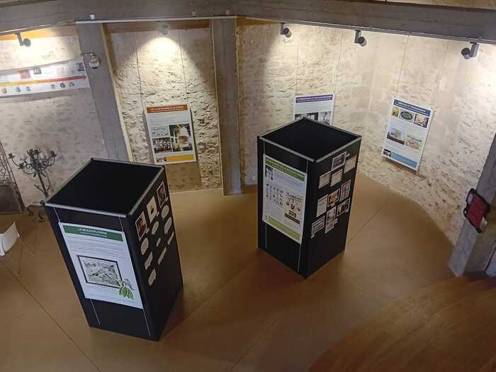 Exposition « La Boldoflorine, l’usine et sa célèbre tisane », Donjon de Houdan, Houdan