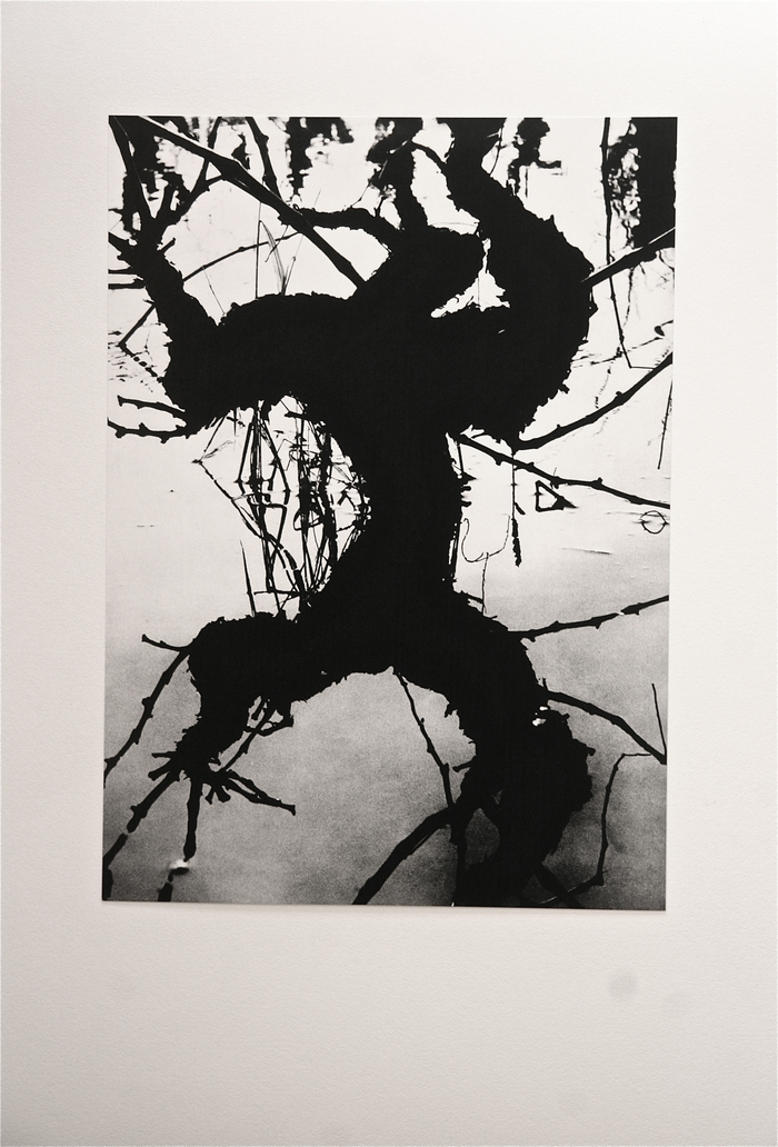 Exposition « La Camargue, un autre monde », Musée de la Camargue, Arles