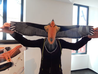 Exposition L&rsquo;as-tu vu ? Rapaces en Pyrénées Béarnaises  Laruns
