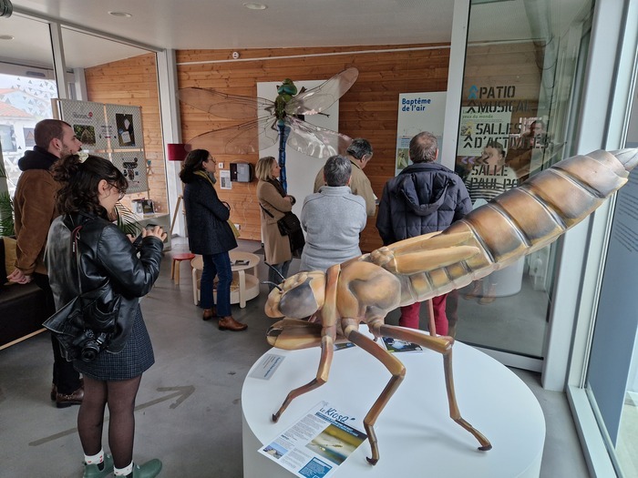 Exposition Libellules Château de La Gobinière Orvault