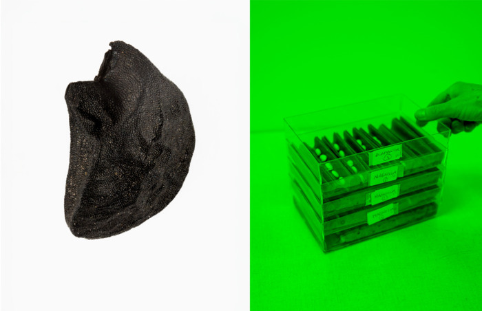 Exposition « L&rsquo;insaisissable » / Sortie de résidence photographique de l&rsquo;artiste Julien Goldstein, Artothèque d&rsquo;Angers, Angers