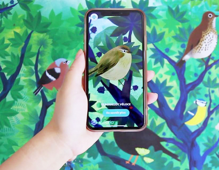 Exposition : Observons les oiseaux, Bibliothèque Pajatoutage, Cœur de Causse