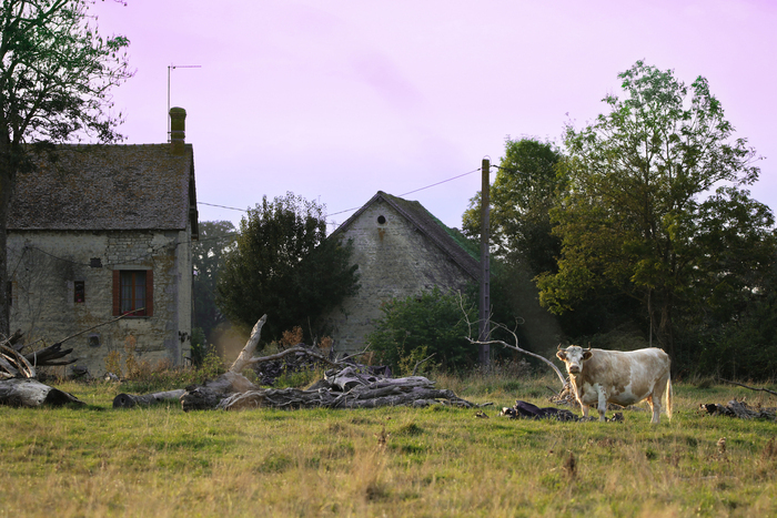 Exposition : patrimoine rural du Perche, Hôtel de l&rsquo;orangerie, Alençon