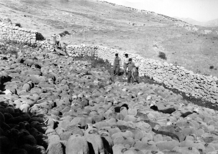 Exposition “Paysages façonnés”, Salle du Balconnier, Rougon