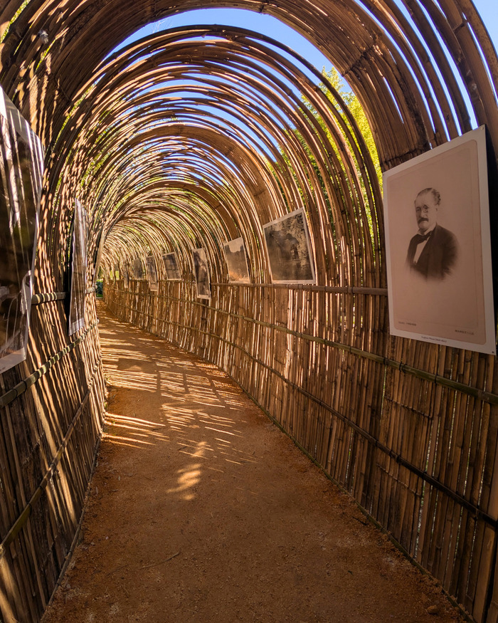 Exposition photo : L&rsquo;héritage d&rsquo;un jardin vivant, La Bambouseraie en Cévennes, Générargues